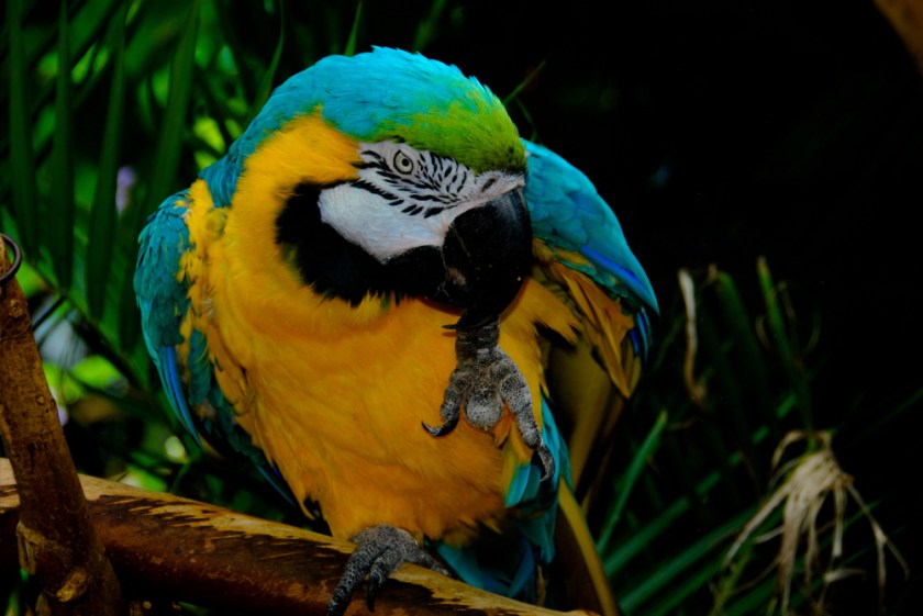 LR Exported Victoria BC 2019-64