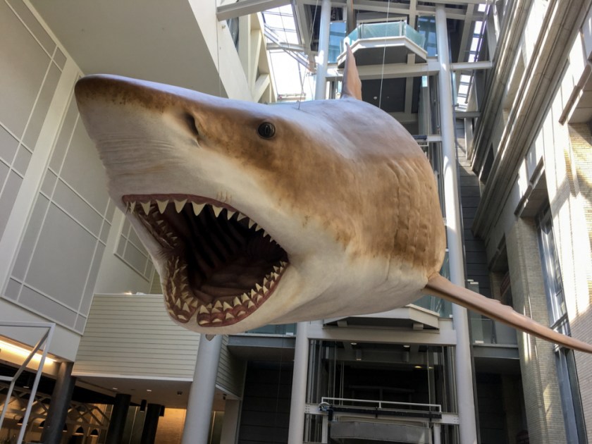 LR Exported Washington DC-57