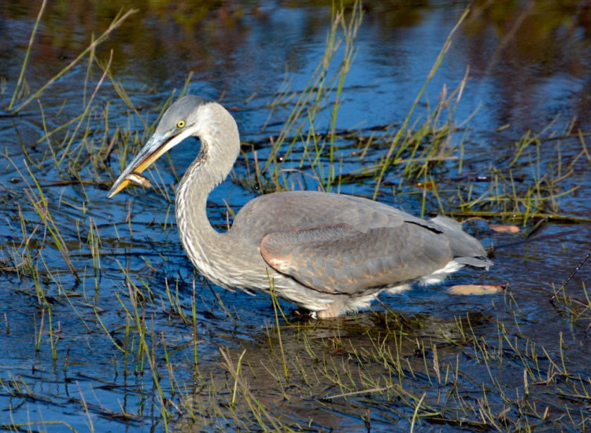 LR Exported Alg Oct 2019 -5