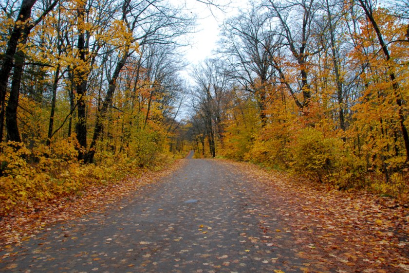 LR Exported Alg Oct 2019 -50