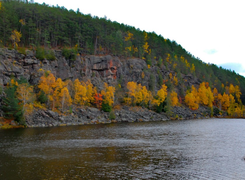 LR Exported Alg Oct 2019 -51