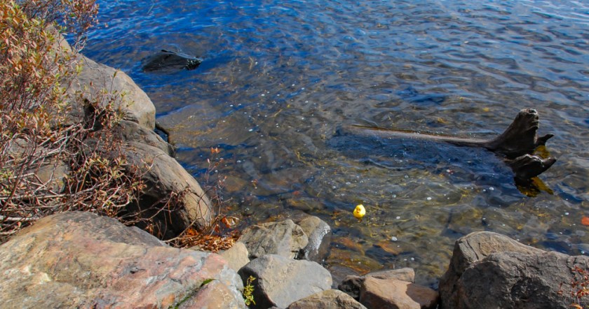 LR Exported Alg Oct 2019 -54