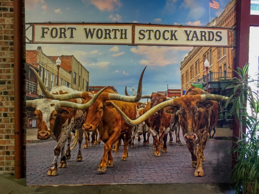 LR Exported Dallas TX-102