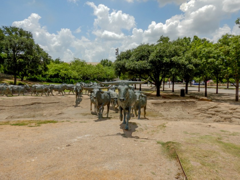 LR Exported Dallas TX-125