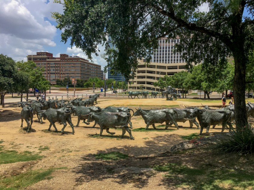 LR Exported Dallas TX-133