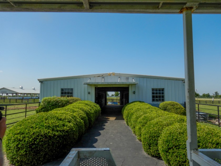 LR Exported Dallas TX-20