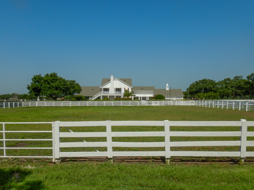 LR Exported Dallas TX-21