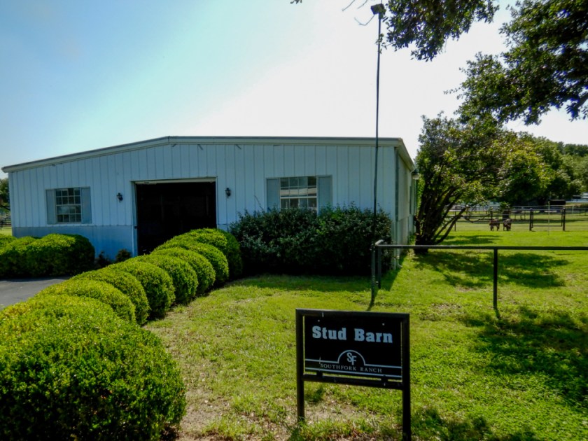 LR Exported Dallas TX-22