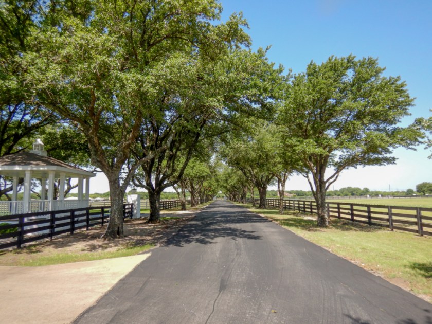 LR Exported Dallas TX-69