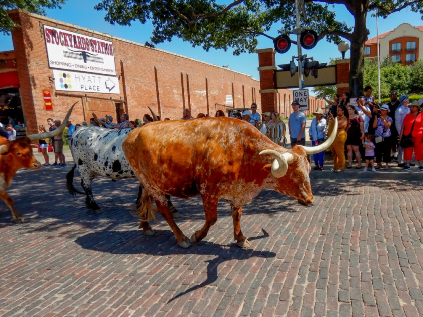 LR Exported Dallas TX-94