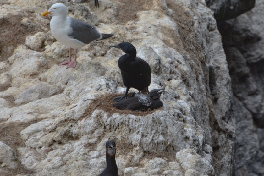 LR Exported Florence OR-107_01