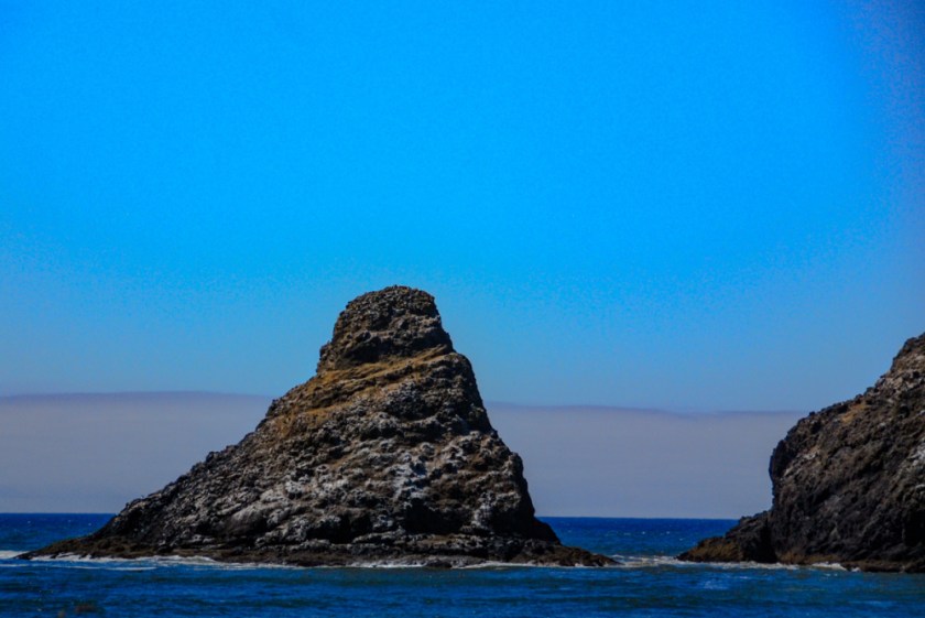 LR Exported Florence OR-13_01