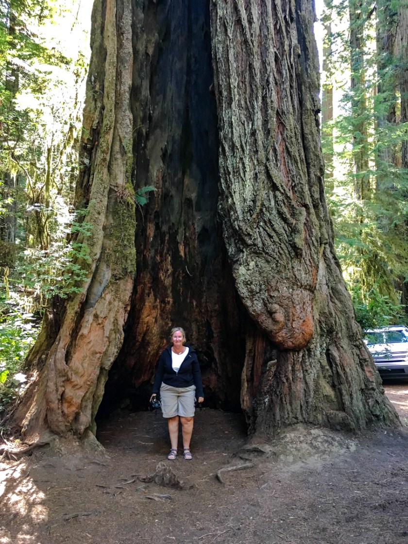 LR Exported Grants Pass OR-25_01