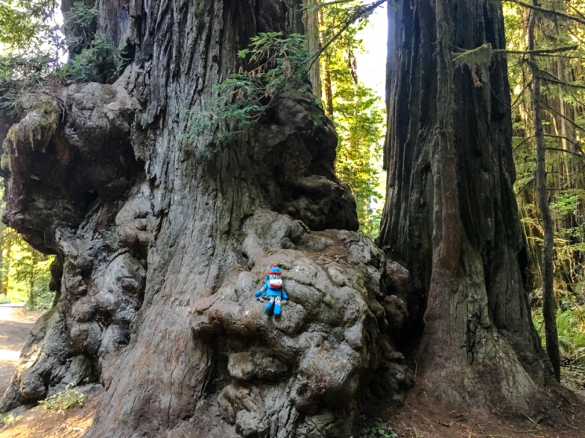 LR Exported Grants Pass OR-38_01