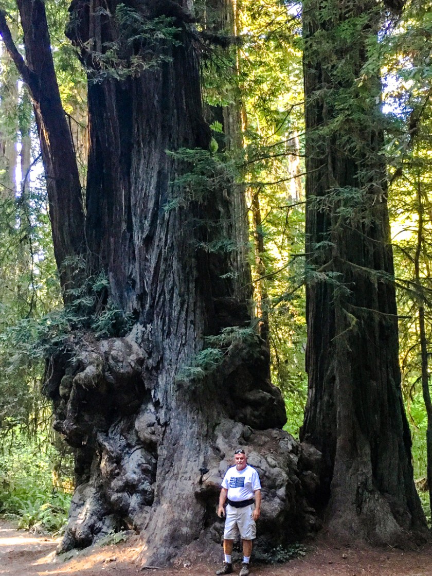 LR Exported Grants Pass OR-39_01