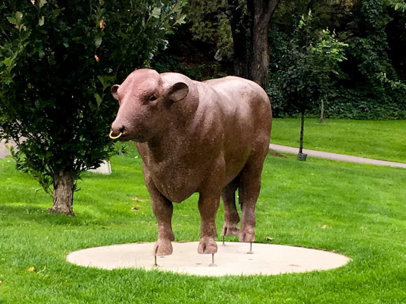 LR Exported Kamloops BC-12_01