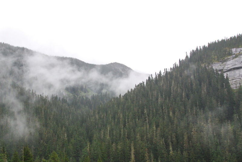 LR Exported Kamloops BC-4_01