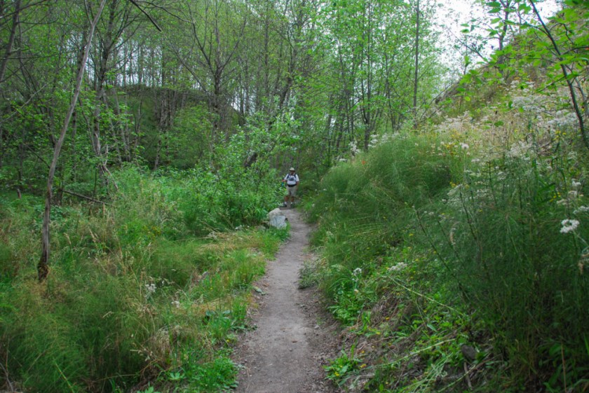 LR Exported Kelso WA-29_01