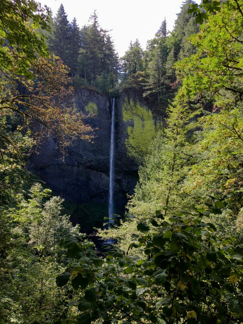 LR Exported Kelso WA-53_01