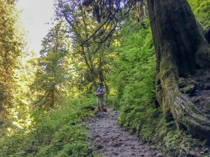 LR Exported Kelso WA-54_01