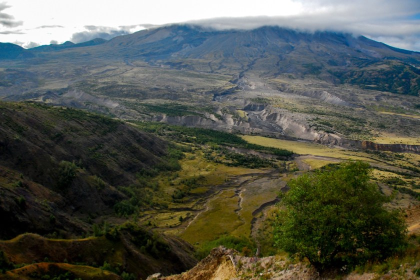 LR Exported Kelso WA-5_01