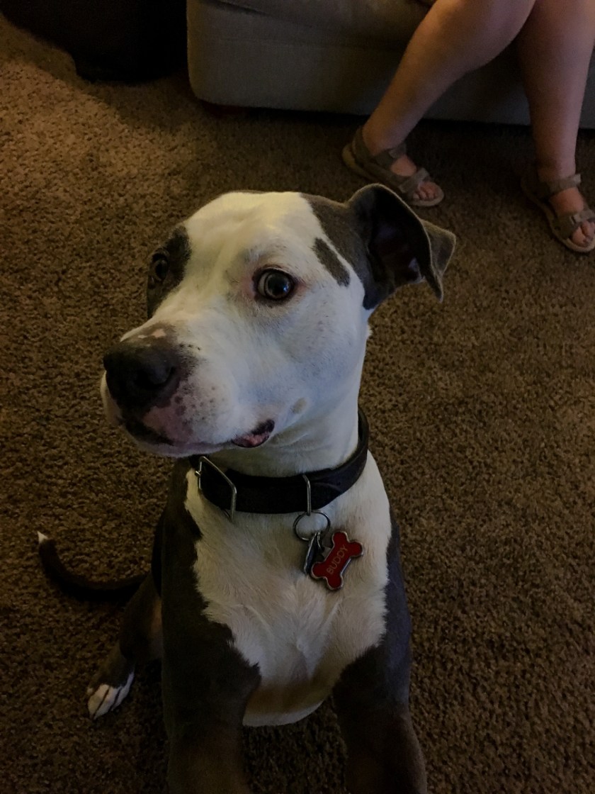 LR Exported Las Angeles CA-108