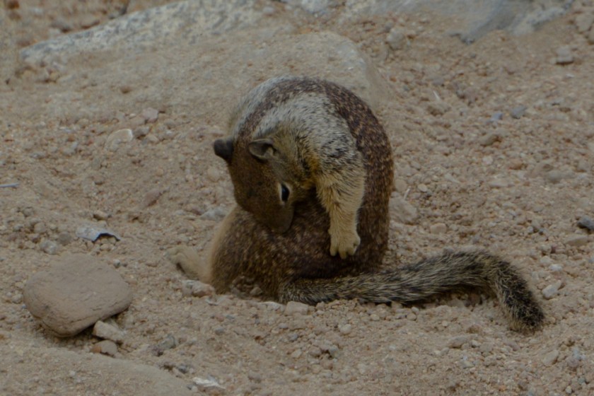 LR Exported Monterey CA-84