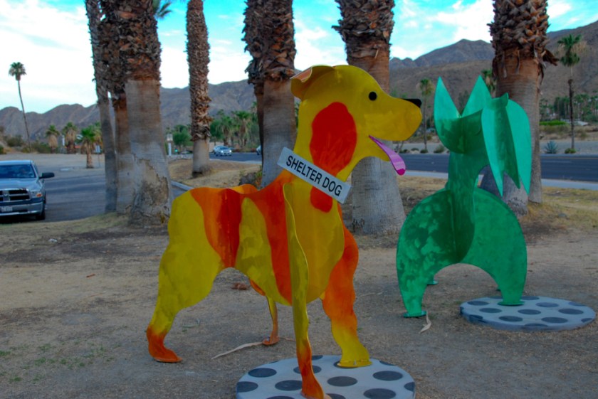 LR Exported Palm Springs CA-103