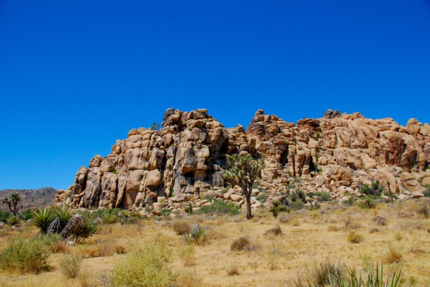 LR Exported Palm Springs CA-55