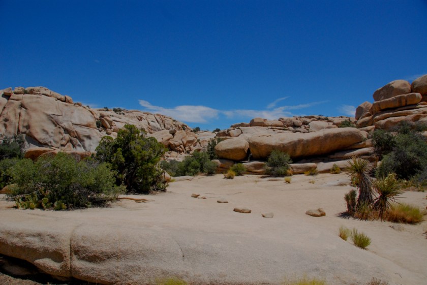 LR Exported Palm Springs CA-68