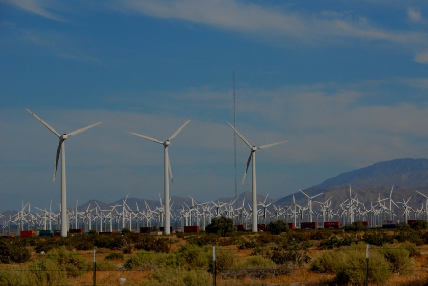 LR Exported Palm Springs CA-99