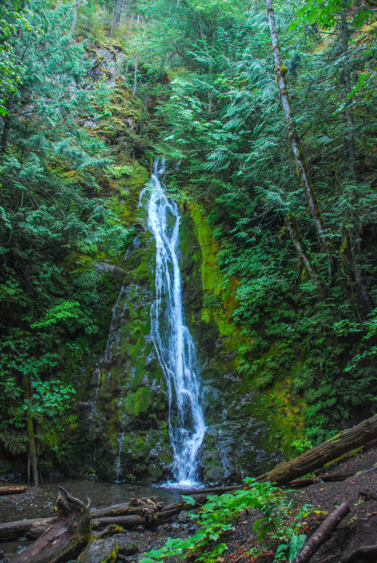 LR Exported Port Angeles WA-2