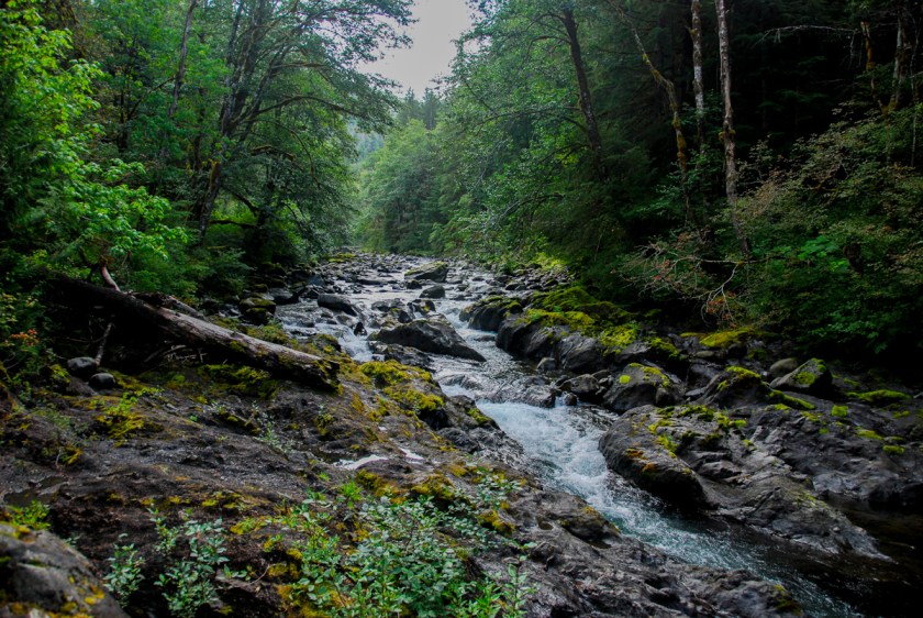 LR Exported Port Angeles WA-6