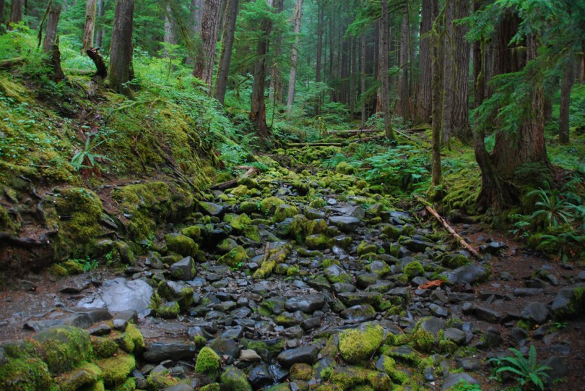 LR Exported Port Angeles WA-7