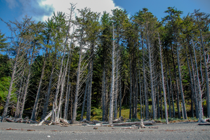 LR Exported Port Angeles WA-77_01