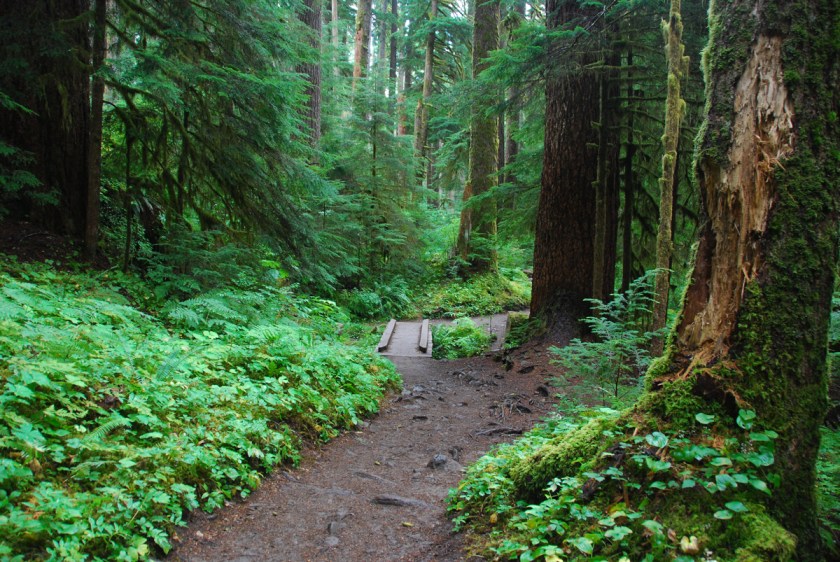 LR Exported Port Angeles WA-8