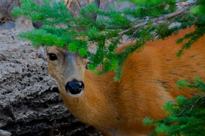 LR Exported Port Angeles WA-83_01