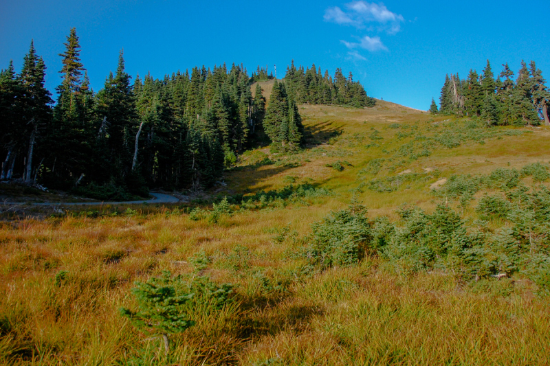LR Exported Port Angeles WA-88_01