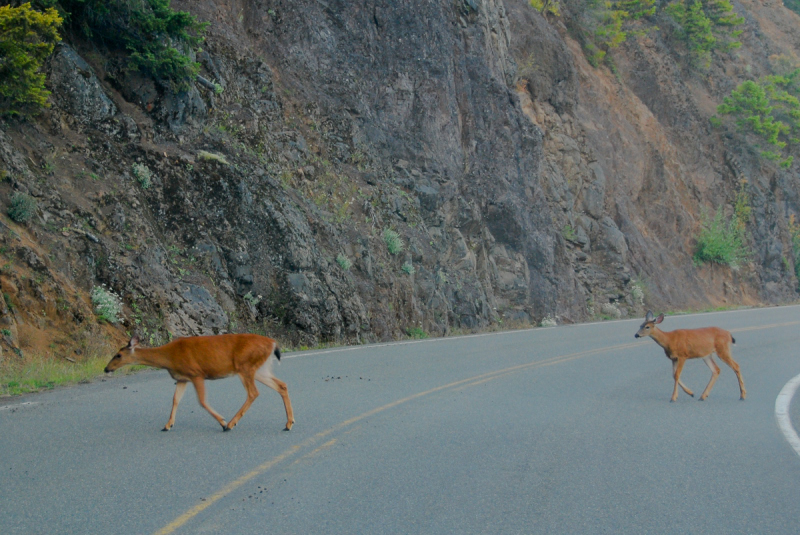 LR Exported Port Angeles WA-91_01