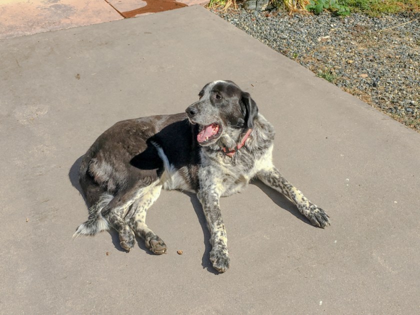 LR Exported Redding CA-59