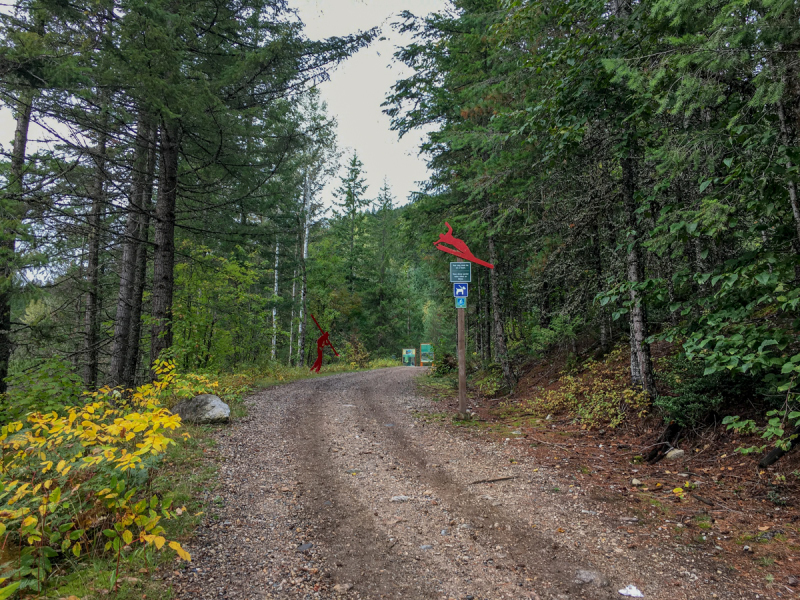 LR Exported Revelstoke BC-20