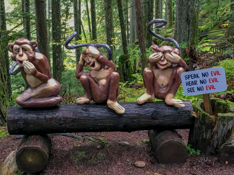 LR Exported Revelstoke BC-49