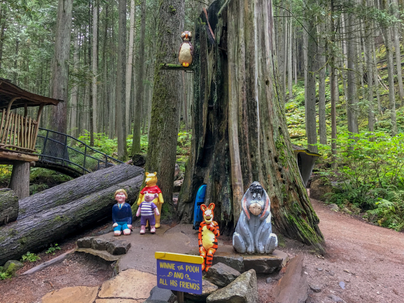 LR Exported Revelstoke BC-60