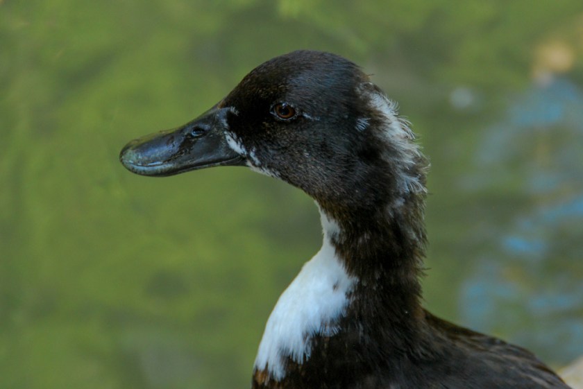 LR Exported San Antonio TX-58