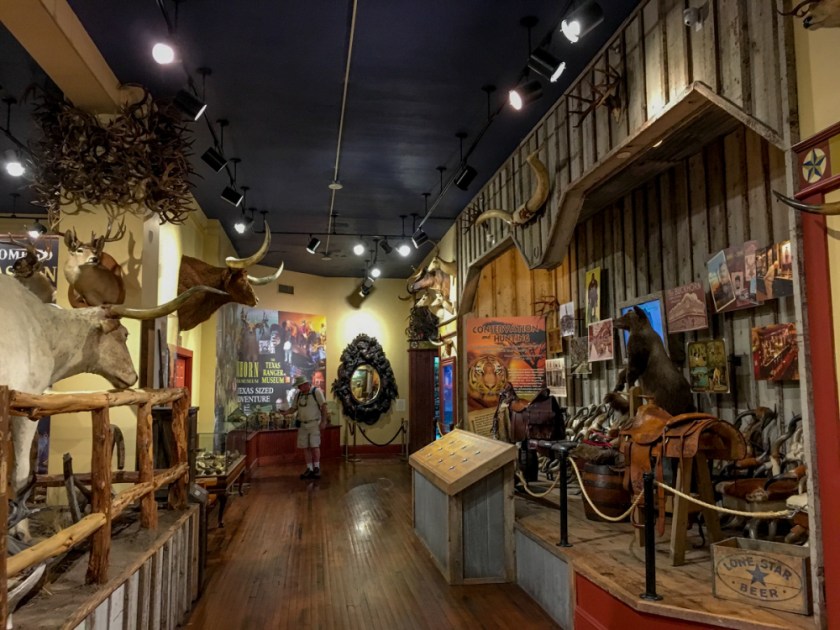 LR Exported San Antonio TX-66