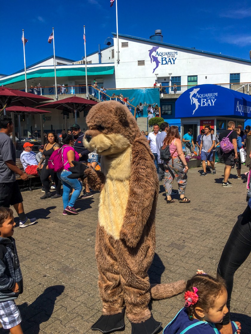 LR Exported San Francisco CA-46_01