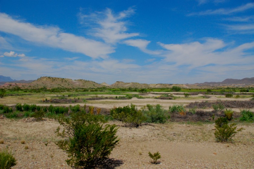 LR Exported Sanderson TX-32