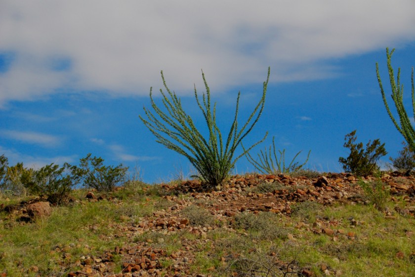 LR Exported Terlingua Big Bend TX-37