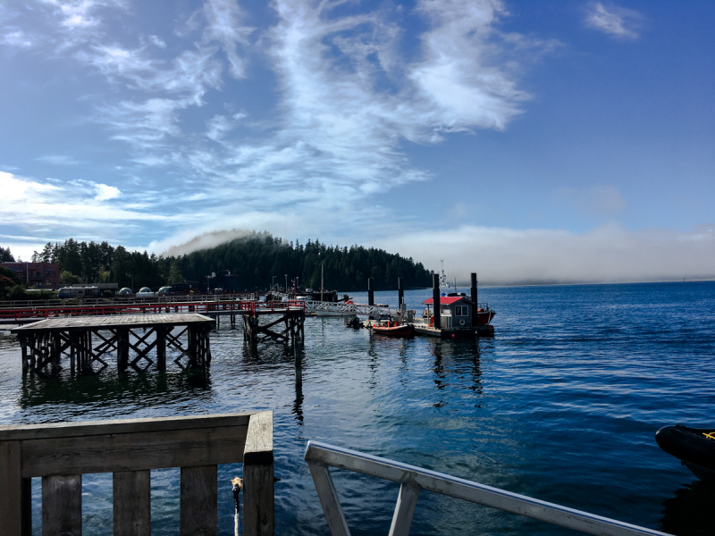 LR Exported Tofino BC-13