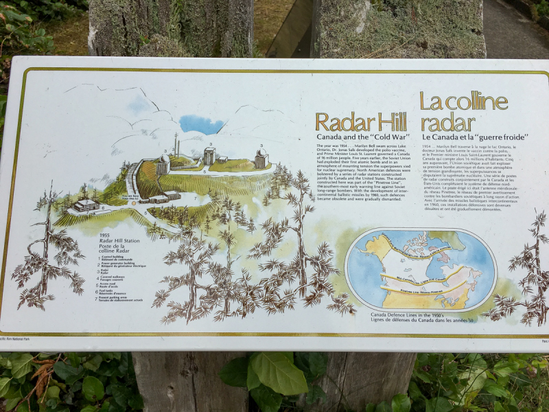 LR Exported Tofino BC-36